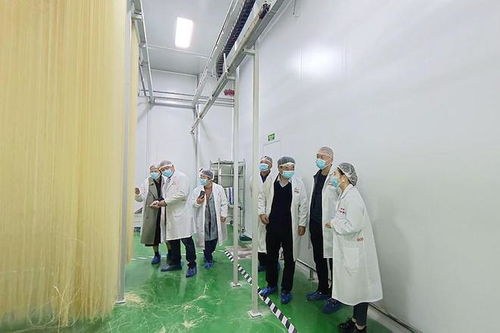 潢川欣然工藝品公司 以匠心傳承，打造民間文化教育與研學旅行新標桿